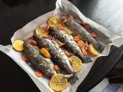 Božićna pastrmka
