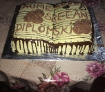 Plazma torta knjiga