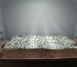 Letnja osvežavajuća torta sa jagodama