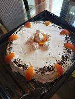Torta sa Pudingom i Breskvama