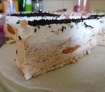 Torta sa kajsijama