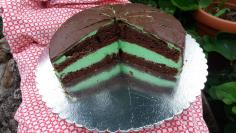 Čokoladna mentol torta