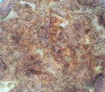 Trouglići - pita