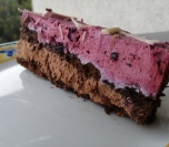 Mus torta sa čokoladom i borovnicama