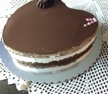 Bounty tortica