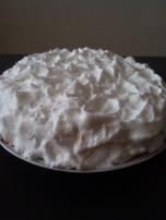 Šuškava torta sa jagodama