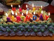 Šuškava lešnik torta