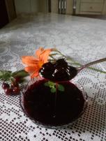 Domaće slatko od višanja