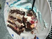Torta čoko moko sa plazmom i malinama