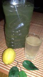 Vitaminski napitak za čišćenje organizma