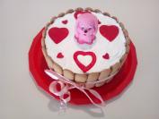 Plazma torta (23)