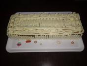 Plazma tortica (2)