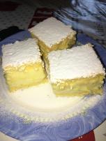Lažna krempita (2)