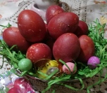 Jaja farbana frutti sokom