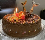 Čokoladna lešnik torta (3)