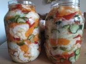 Šarena zimska salata