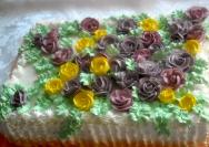 Plazma torta