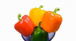 Lagana punjena paprika