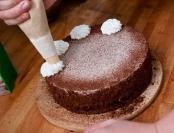 Velika torta sa noblicama